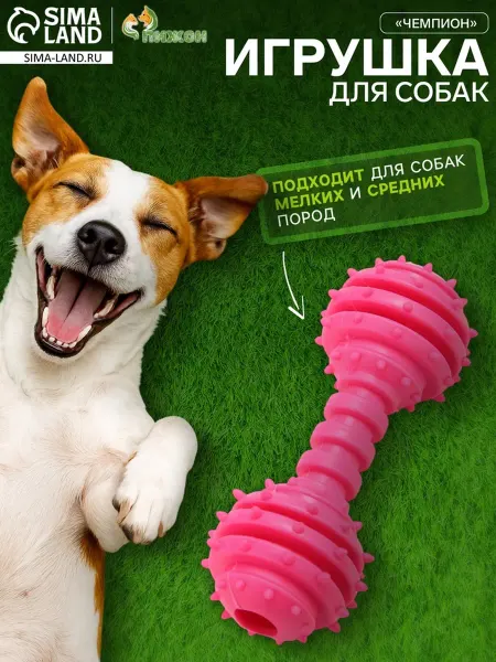 Пижон Жевательная игрушка для собак, 12.5 см, TPR, розовая