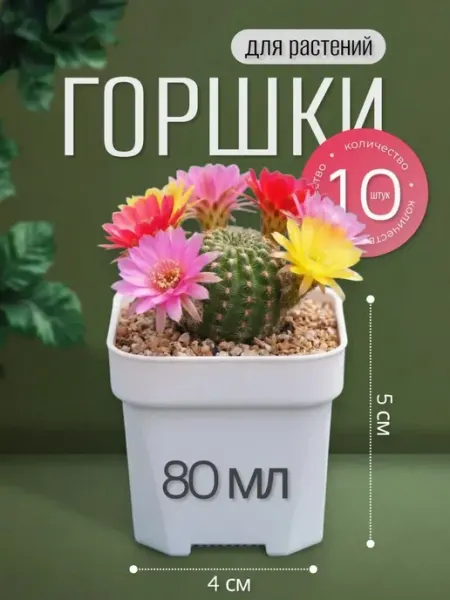 Garden Emili Горшки для суккулентов и кактусов