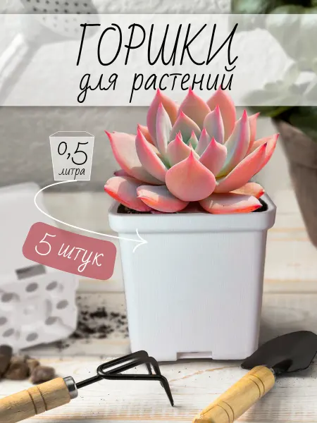 Garden Emili Цветочные белые горшки кашпо для суккулентов и растений