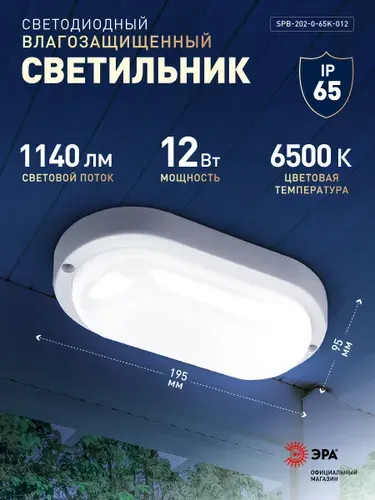 Светильник светодиодный влагозащищенный ЭРА SPB-202-0-65K-012 IP65 12Вт 6500К овальный