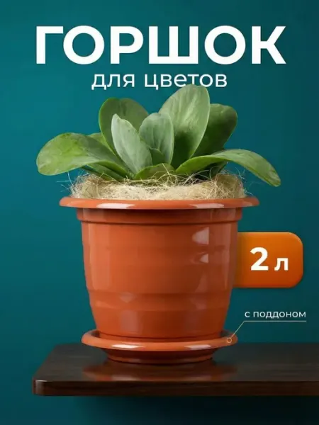 SiHouse Горшок для цветов комнатных 2 л с поддоном