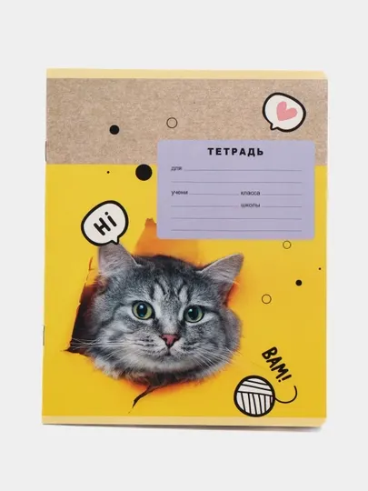 Тетрадь в клетку 10 шт, BG Mix-8. Девочки, 12 листов