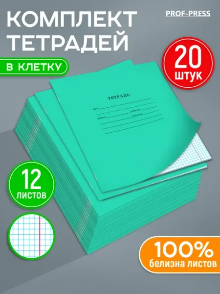 Prof-Press Тетради в клетку 12 листов набор 20 шт