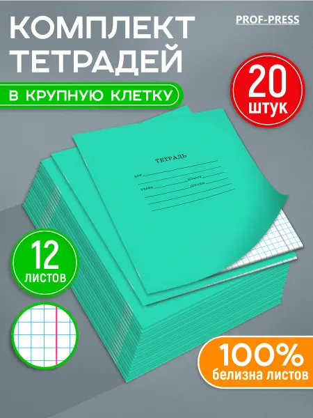 Prof-Press Тетрадь в крупную клетку 12 листов 25 штук