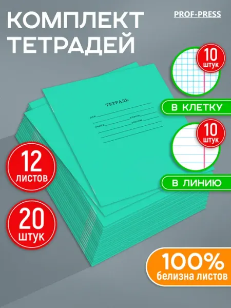 Prof-Press Тетрадь в клетку и линейку 12 листов 60 штук