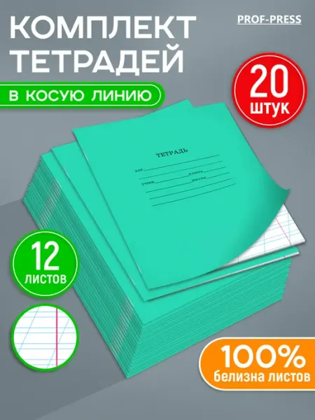Prof-Press Тетрадь в косую линейку 12 листов 20 штук