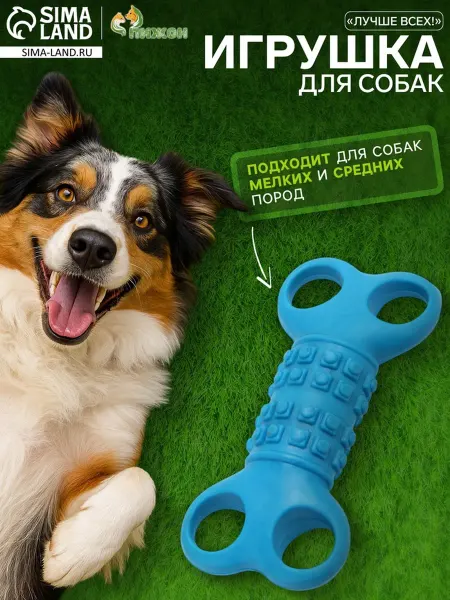 Пижон Голубая жевательная игрушка для собак TPR 12 см Лучше всех