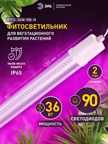 Фитолампа для растений и рассады светодиодная ЭРА FITO-36W-RB-N красно-синий спектр / LED фитосветильник, 36 Вт, 120 см