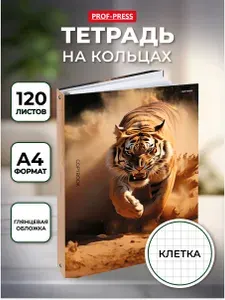 Блочная тетрадь на кольцах А4 со сменным блоком 120 листов в клетку, Prof-Press