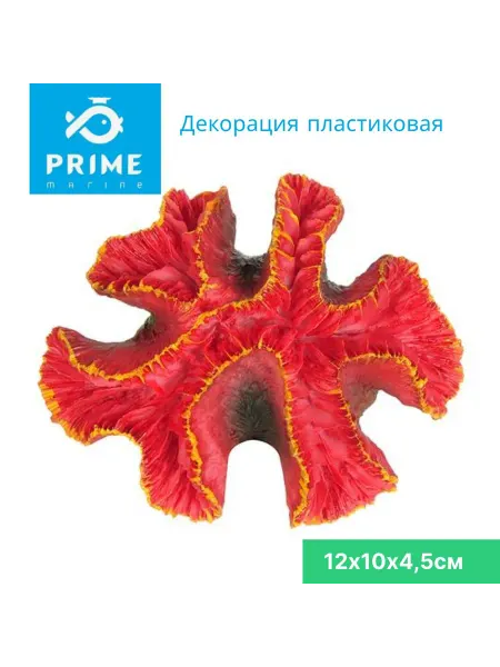 Prime Zoo Декорация для аквариума Эуфилия красная 12х10х4,5см