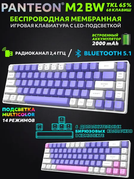 JETACCESS PANTEON M2 BW Purple-White (164) беспроводная клавиатура