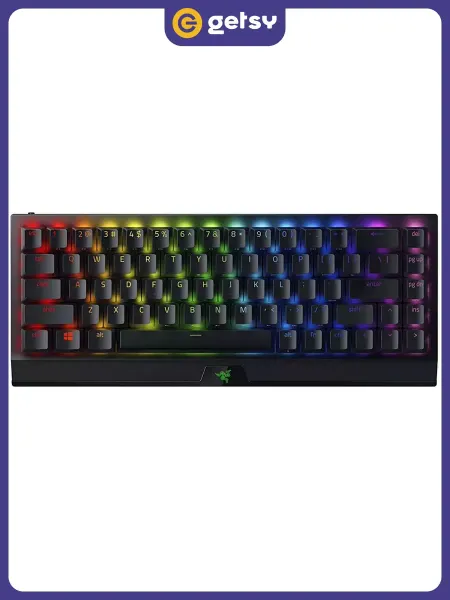 Razer Игровая клавиатура BlackWidow V3 Mini HyperSpeed