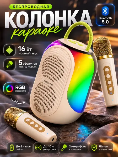 EchoVibe Беспроводная колонка Bluetooth караоке с двумя микрофонами