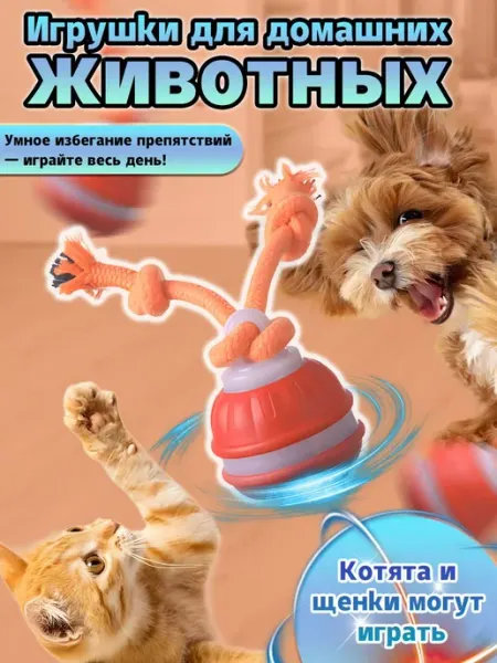 DYH-coco Интерактивная игрушка с кошачьим мячом