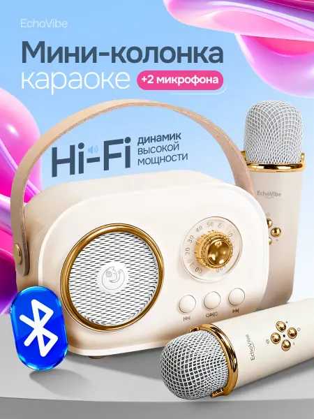 EchoVibe Музыкальная колонка караоке с двумя микрофонами