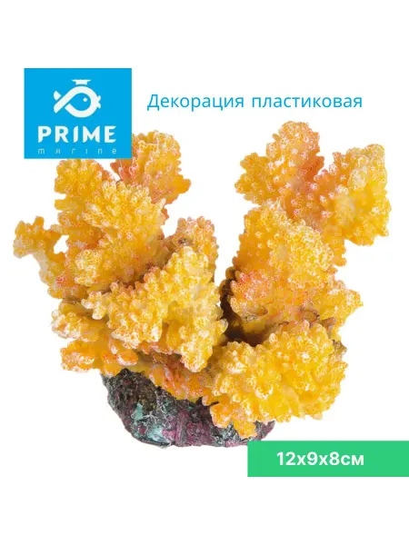 Prime Zoo Декорация для аквариума Стилофора оранжевая 12х9х8см