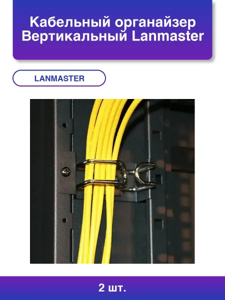 LANMASTER 2шт. Кабельный органайзер Вертикальный Twt-cbb-rgv-r