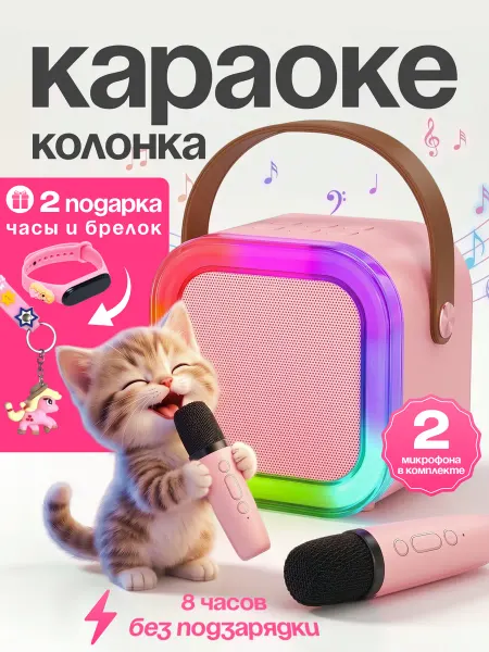 Simple&Useful Детская караоке колонка с двумя микрофонами беспроводная