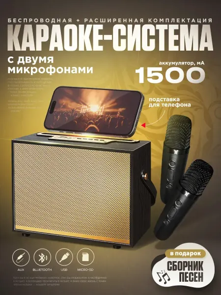 VitaMusica Караоке система беспроводная с двумя микрофонами