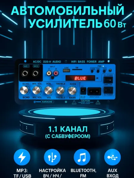 D20-II 60Вт Bluetooth караоке усилитель 2×MIC, USB/TF/FM/AUX, 220/12V