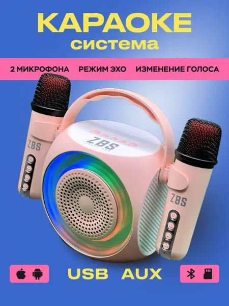 ZBS Колонка караоке с двумя микрофонами
