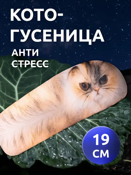 Мега Тойс Игрушка мягкая антистресс Котогусеница мем 19 см