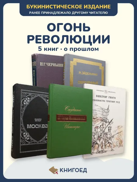 Книгоед Исторические романы Чернышевский Эйдельман Белый
