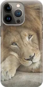Силиконовый чехол на Apple iPhone 13 Pro Max / Эпл Айфон 13 Про Макс с принтом "Спокойный лев"
