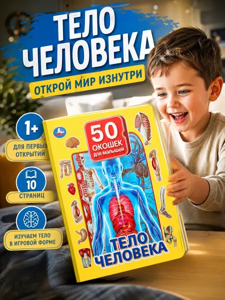 Умка Книга игрушка с окошками Тело человека для малышей