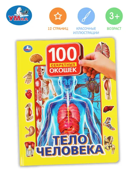 Умка Книжка с окошками игрушка Тело человека развивающая