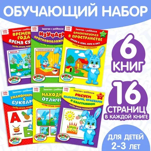Обучающие книги Полный годовой курс. Серия от 2 до 3 лет, 6 книг по 16 стр., в папке 1315972