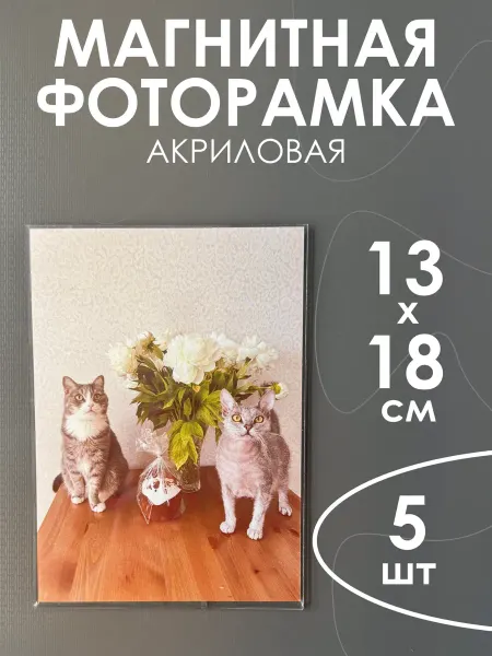 TRACK Акриловая фоторамка на холодильник 13х18 см