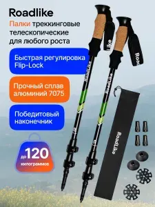 Roadlike Палки для скандинавской ходьбы 137,5 см
