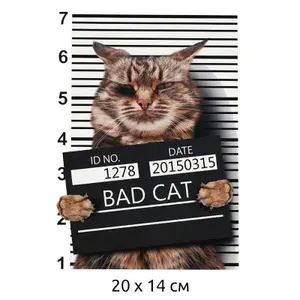 Термонаклейка для одежды, плохой котик, 14*20, аппликация, термотрансфер