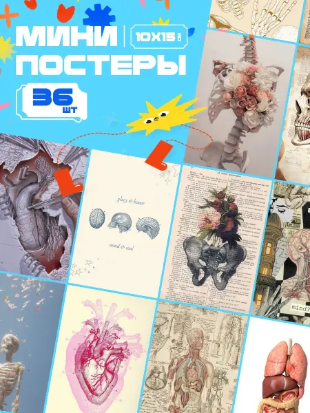 AIMEM Мини-постеры Медицина Анатомия Человека. 18 шт (14,5х10см)