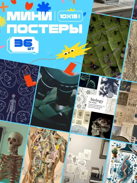 AIMEM Мини-постеры Биология. 36 шт (14,5х10см)