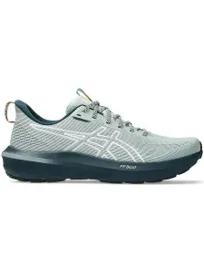 Кроссовки ASICS GT-1000 14 TR
