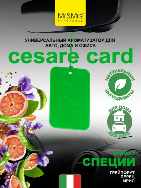 Mr&Mrs Fragrance Ароматизатор в машину Cesare card Warm spisy Специи