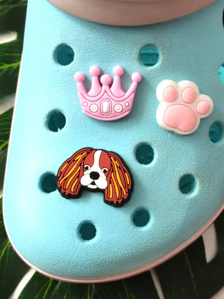 Fun_Jibz Джибитс Спаниель собака кавалер кинг Чарльз на Crocs