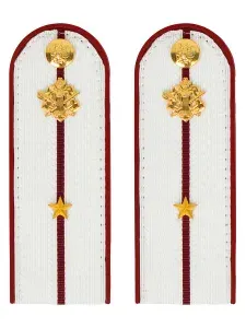 Погоны ФСИН на рубашку пластик, звание Младший лейтенант 14х5,5см 752400