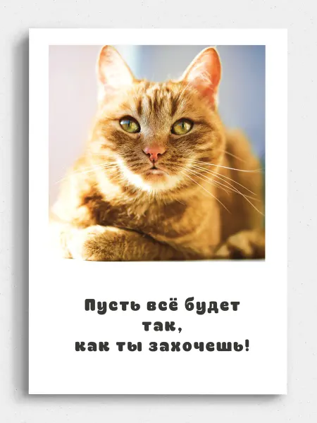 Открытка с котиком "Пусть всё будет так, как ты захочешь"