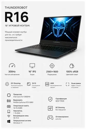 Thunderobot Игровой ноутбук 15.6", RAM 16 ГБ 512 ГБ, NVIDIA GeForce RTX 5060 для ноутбуков (8 Гб), Windows Pro, серый, Русская раскладка