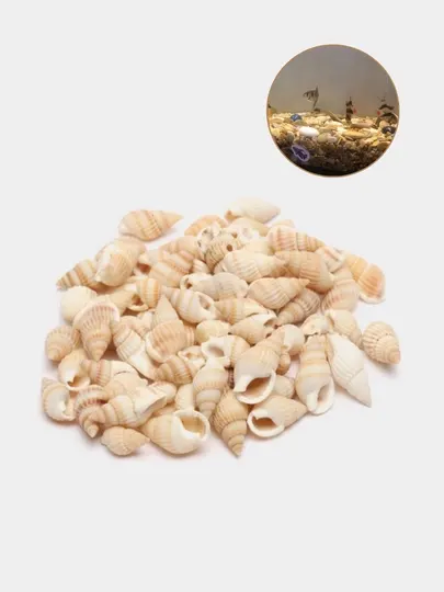Маленькие ракушки для аквариума и декора, 15 - 30 г
