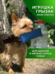 Грызак мини ухватка 15 на 6 см синяя