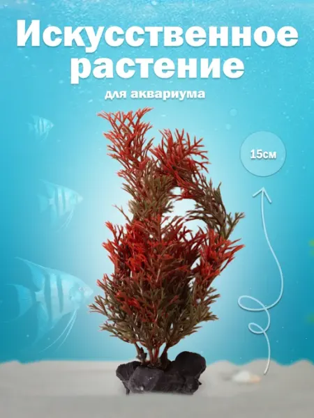 Tetra. Растение для аквариума "Перистолистник красный" 15 см