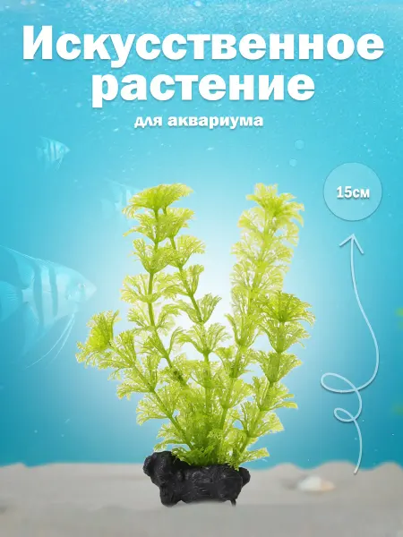 Tetra. Растение для аквариума 15 см. "Лимнофила сидячецветковая"
