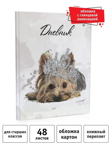 Academy style Дневник школьный 5-11 класс 48 листов книжный переплет