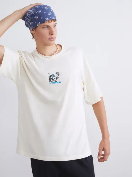 LC Waikiki Мужской Футболка