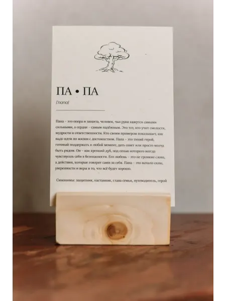 Aeroplane Book Открытка для Папы на подставке из сосны