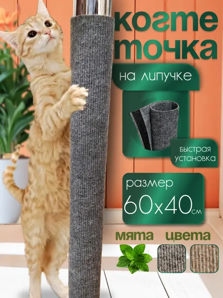 Яркий кот Когтеточка на липучке комплект
